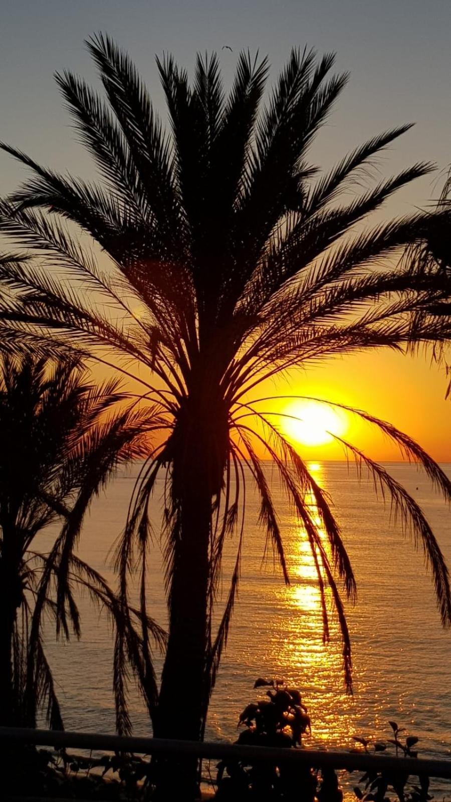 Aloha Beach Vibe Benalmádena Dış mekan fotoğraf