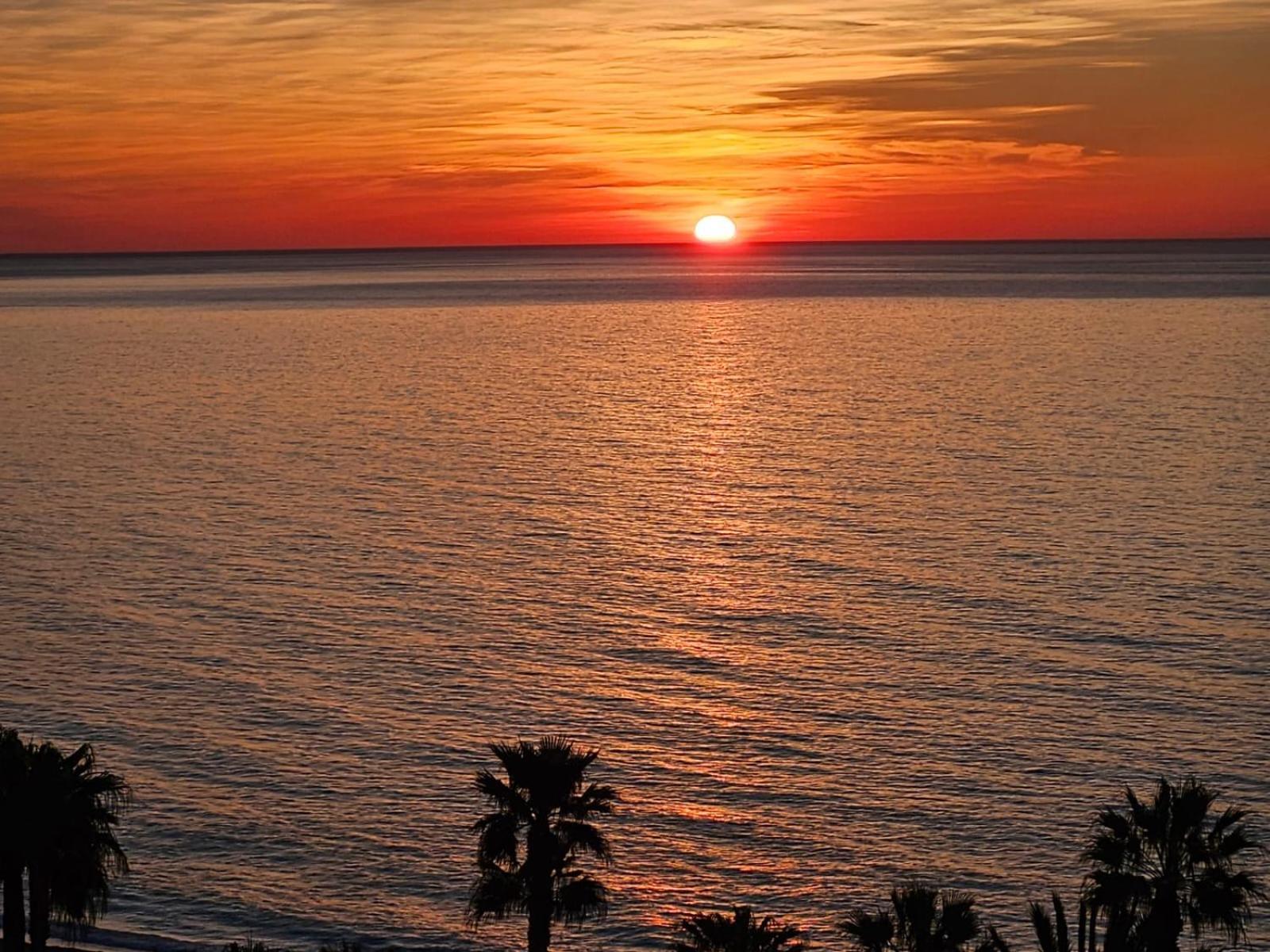 Aloha Beach Vibe Benalmádena Dış mekan fotoğraf